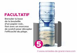 Comment Faire Un Piege A Moustiques Efficace Maison Remedes De Grand Mere Piege A Moustiques Moustique Trucs Et Astuces Maison