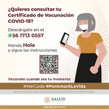 Desde aquí podrás consultar y descargar tu certificado de vacunación, test o recuperación contra la . Ya Puedes Descargar El Certificado Secretaria De Salud Facebook