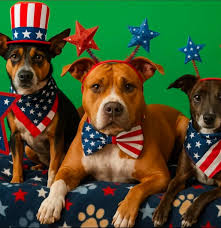 Can someone edit my dog's photo?