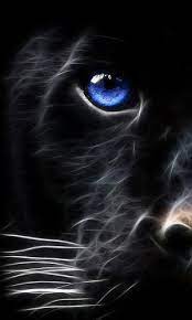 Beautiful Black Lion Pesquisa Google Animal Wallpaper Cats Animals