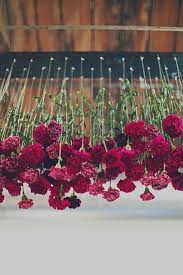 Check spelling or type a new query. 28 Awesome Hanging Flower Upside Down Weddingtopia Hanging Flowers Hanging Floral Wedding Flowers