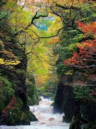 Cymru ˈkəmri (escutar )) é um país constituinte do reino unido. The Fairy Glen Gorge Pais De Gales Reino Unido Lindas Paisagens Lugares Maravilhosos Belas Imagens