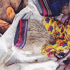 Image result for Raphia sese