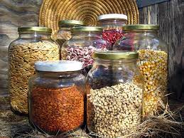 They have built a reputation for developing some of the best marijuana. Seed Bank Native Seeds Search