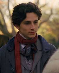 Pin By Genesis Pintos On Little Women In 2020 Timothee Chalamet Laurie Film Aesthetic