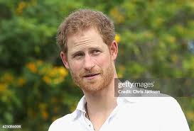 492 Harry Johns Stock Photos, High-Res Pictures, and Images