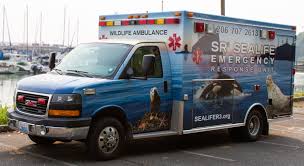 We did not find results for: Salish Sea Declared A Hope Spot In Celebration Of New Marine Animal Hospital Mission Blue