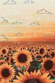 Photo By Brooke11717 Sunflower Wallpaper Sunflower Iphone Wallpaper Cute Wallpaper Backgrounds