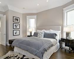 Bedroom Design Pictures Remodel Decor And Ideas Page 2 Yet Another Nice Living Room Hallway Colour Home Bedroom Contemporary Bedroom Traditional Bedroom
