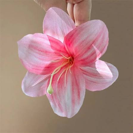 Hoa cài tóc, hoa cài tóc đi biển, phụ kiện tóc CHU CHU dịu dàng MÃ#K25