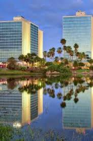 Educe salon is home to the best hair stylists orlando has to offer. Find Hotels Near Disney Hollywood Studios Orlando For 2021 Trip Com