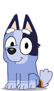 The program was created by joe brumm with queensland production group ludo. Socks Heeler Bluey Wiki Fandom
