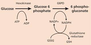Image result for G6PD Deficiency Detection