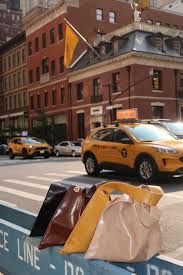 Image result for Soho Brown 2016 A1