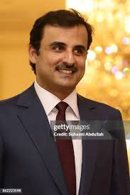 260 Hamad Bin Abdullah Al Thani Stock Photos, High-Res Pictures, and Images 
