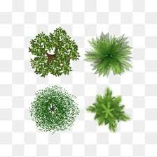 The Trees Trees Tree Combination Map Plant Png Transparent Clipart Image And Psd File For Free Download Free Watercolor Flowers Tree Photoshop Palm Trees Painting