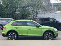 Image result for Azorean Green 2019 Q5