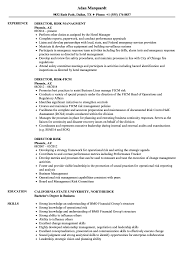 director risk resume samples velvet jobs