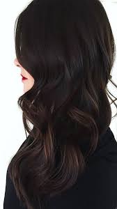 Black hair needs to be nourished as it's cleansed. Pure Jet Black Discoveries With Light Brown Highlights On Ends Hairminia Hair Color For Black Hair Black Hair Balayage Brown Hair With Blonde Highlights