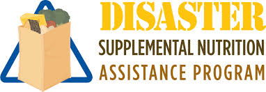 Disaster Supplemental Nutrition Assistance Program Dsnap
