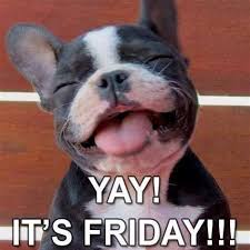 Happy Friday Animations Happy Its Friday Animals Friday Meme Friday Dog Funny Friday Memes