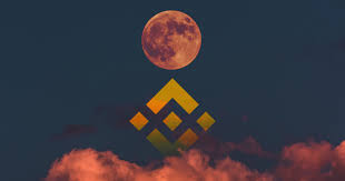 So you cannot invest in safemoon through the binance app. Data Shows Binance Coin S Bullish Sentiment Is On The Rise Can It Translate To Price Cryptoslate