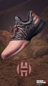 We hope you enjoy our growing collection of hd images. James Harden Adidas Shoes Wallpapers On Wallpaperdog