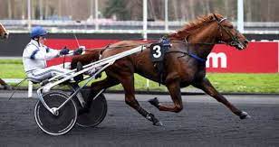 Pronostic PMU du jour et de demain du quinté + - Quinté de Trot