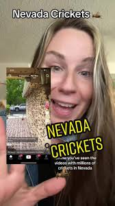 Booking my trip to Nevada! ✌️ #grasshopper #crickets #nevada