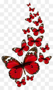 All butterfly png images are displayed below available in 100% png transparent white background for free download. Butterfly Png Pink Butterfly Butterfly Vector Butterfly Silhouette Purple Butterfly Butterfly Border Butterfly Drawing Colorful Butterfly Butterfly Art Butterfly Outline Cute Butterfly Black And White Butterfly Butterfly Red Butterfly