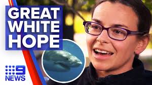 Shark bite survivor speaks