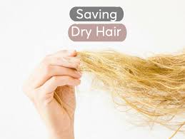 Diet helps to restore your health from within so that. Best Treatments For Dry Damaged Hair According To Dermatologists Mdacne