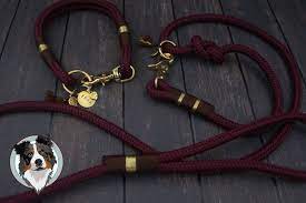 ideen sammeln true dogz paracord biothane hundeschmuck halsband hund hunde accessoires