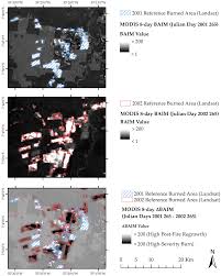 With ricardo darín, javier cámara, dolores fonzi, troilo. Remote Sensing Free Full Text Burned Area Detection In Amazonian Environments Using Standardized Time Series Per Pixel In Modis Data Html