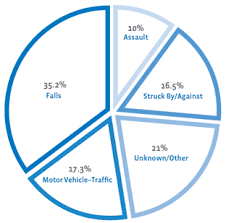 5 Most Common Causes Of Brain Injury Brain Injury Awareness Brain Injury Traumatic Brain Injury