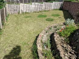 How to turn garden into lawn. How To Turn A Rubbish Lawn Into An Awesome Wildflower Meadow Gardening