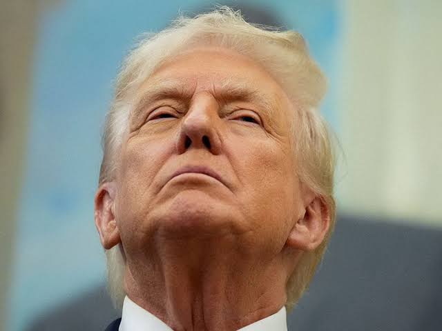 https://encrypted-tbn0.gstatic.com/images?q=tbn:ANd9GcRYGOFU6pjGOE6sHYxWdE2MRbocRIe4z-ei9hbigBeFSAAT4EIbxPp6io5d&s=10