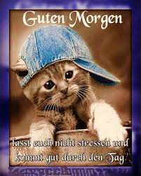 Hier klingelt der frohe wecker. Guten Morgen Bilder Fur Android Apk Herunterladen