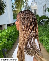 Black And Blonde Knotless Braids My Braids Deserve Their Own Post Because They Came Out So Good I Always Hesitate When It Comes To Color Braids For Black Hair Braided Hairstyles Blonde Braids