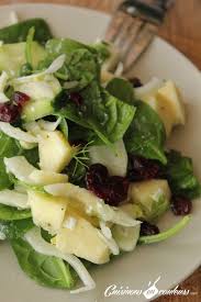 Salade De Fenouil Aux Concombre Cranberries Pomme Et Feta Cuisinons En Couleurs Salade Fenouil Salade Fenouil