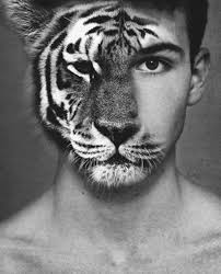 This Is A Perfect Inspiration For The Gcse Question On Disguises Photoshop Projects Art Photography Animals
