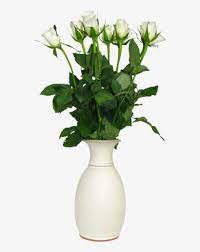 Discover transparent background images and illustrations. Transparent Flower Vase Png Free Transparent Png Download Pngkey