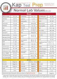 studious lab test normal range creatinine test normal range