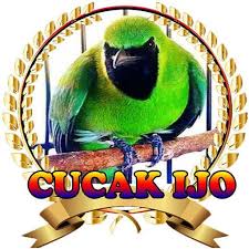 Check spelling or type a new query. Suara Burung Cucak Ijo Juara Mp3 For Android Apk Download
