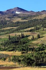 Biomes Found In The United States Chaparral Biome Information Biomes Chaparral Temperate Rainforest