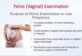 Pelvic Tilt Exercises During Pregnancy