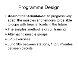 Strength Training What Is Strength Training Free Weights Machines Medicine Balls Sand Bags Sleds Harnesses Uphill Runs Bodyweight Exercises Partner Ppt Download