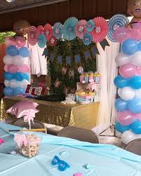 Baseball Or Bows Gender Reveal Backdrop Decoration Gender Reveal Decorations Baseball Gender Reveal Bow Gender Reveal
