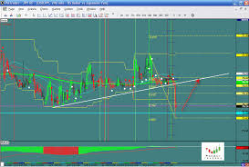 Proact Traders What Proact Traders Sees In The Forex