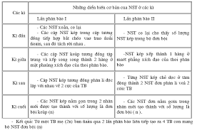 NGUYÊN PHÂN-GIẢM PHÂN